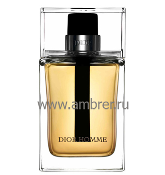 Christian Dior Dior Homme