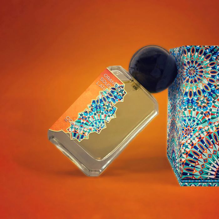 Oranger Sous L`Atlas