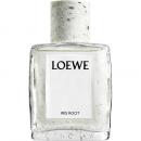 Loewe Iris Root