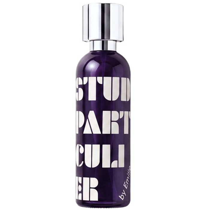 What We Do Is Secret Studio Particulier