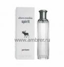 Abercrombie & Fitch Spirit perfume