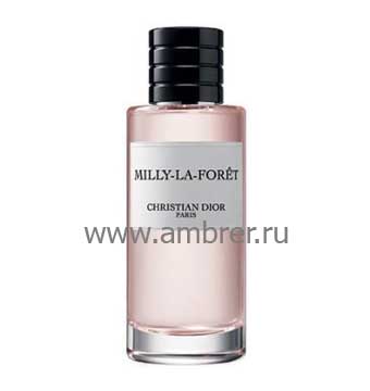 Christian Dior Milly-La-Foret