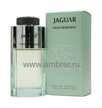 Jaguar Jaguar Performance