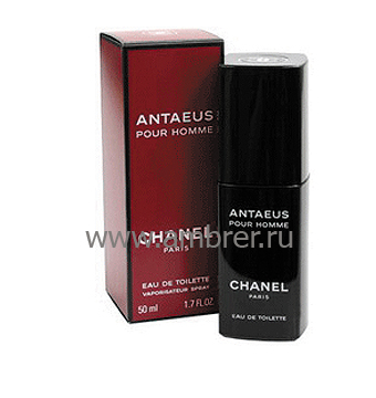 Chanel Antaeus