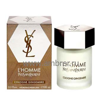 Yves Saint Laurent YSL L`Homme Cologne Gingembre