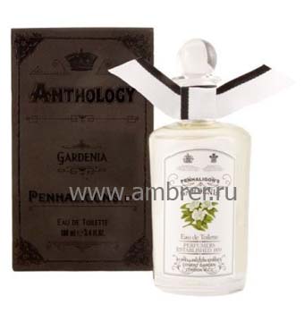 Anthology Gardenia