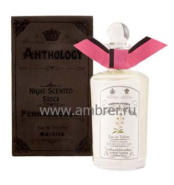 Anthology Night Scented