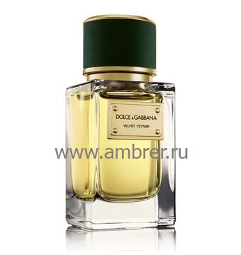 Dolce & Gabbana Velvet Vetiver