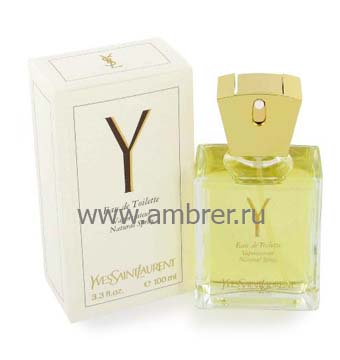 Yves Saint Laurent YSL Y