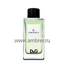 Dolce & Gabbana Dolce & Gabbana �6 L`amoureux