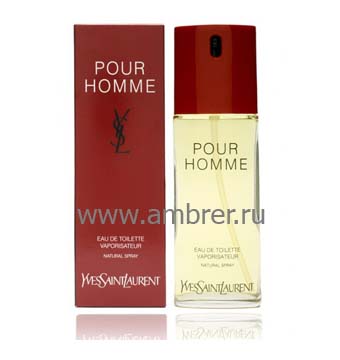 YSL Pour Homme