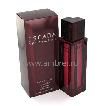 Escada Sentiment pour Homme