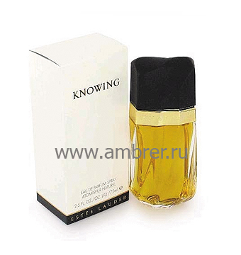 Estee Lauder Knowing