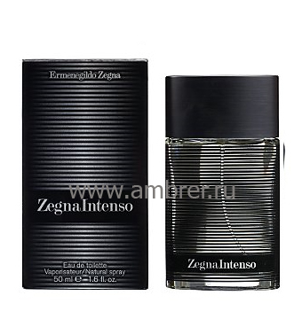 Ermenegildo Zegna Intenso