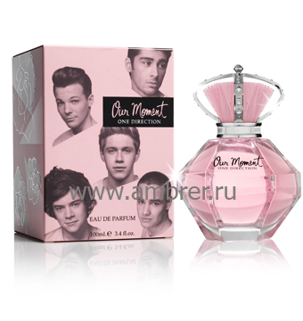 One Direction Our Moment