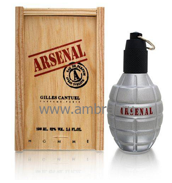 Gilles Cantuel Arsenal Grey