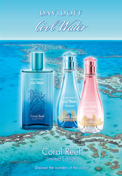 Cool Water Sea Rose Coral Reef Edition