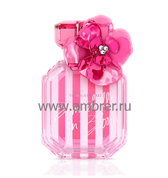 Victoria`s Secret Bombshells in Bloom