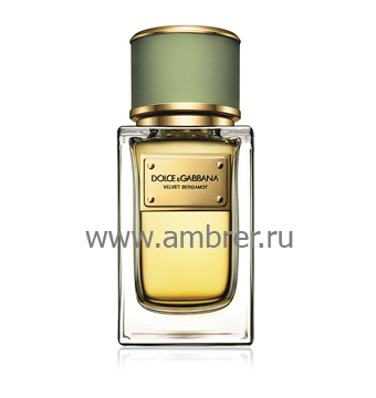 Dolce & Gabbana Velvet Bergamot