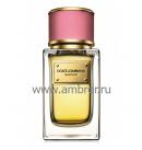 Dolce & Gabbana Velvet Rose