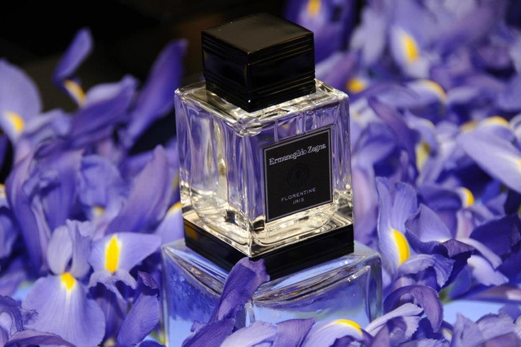 Zegna Florentine Iris