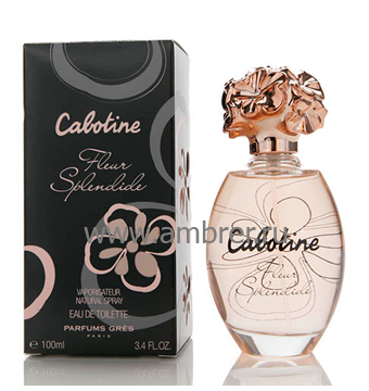 Cabotine Fleur Splendide