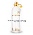 Montale Montale Nepal Aoud