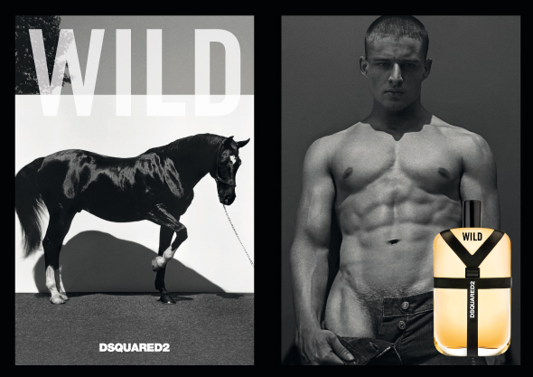 Dsquared2 Wild