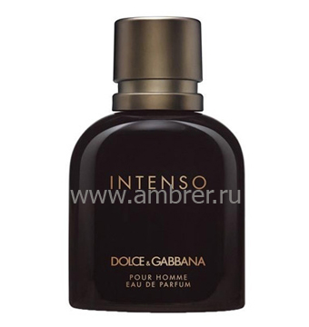 Dolce & Gabbana Dolce & Gabbana Pour Homme Intenso