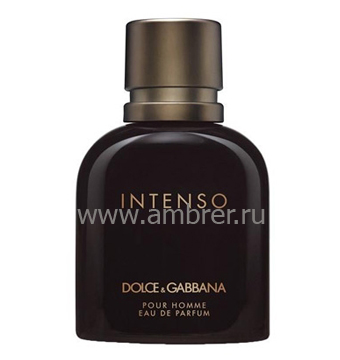 Dolce & Gabbana Pour Homme Intenso