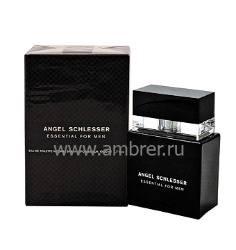 Angel Schlesser Essenttial