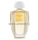 Creed Iris Tuberose