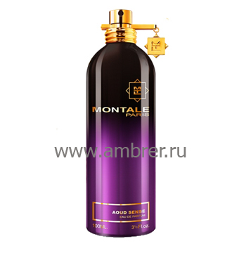 Montale Montale Aoud Sense
