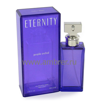 Eternity Purple Orhid