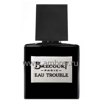 Brecourt Eau Trouble