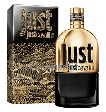 Roberto Cavalli Just Cavalli Gold for Him