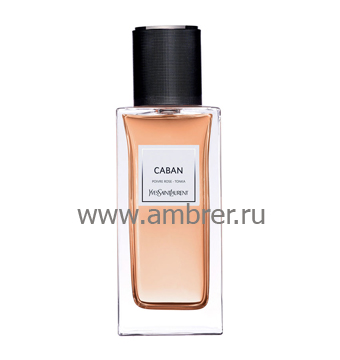 YSL Caban