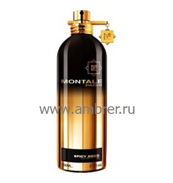 Montale Spicy Aoud